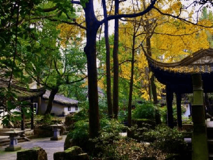 梨花院.JPG