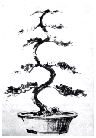 图片6_副本